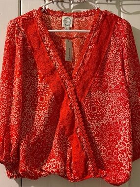 BLUE RAIN paisley blouse-large NWT